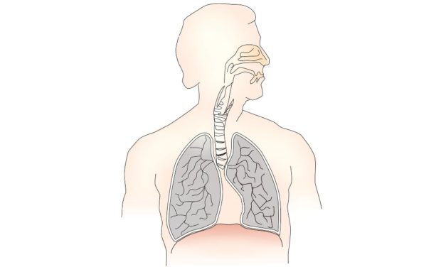 Breathing Technique for Better Sleep