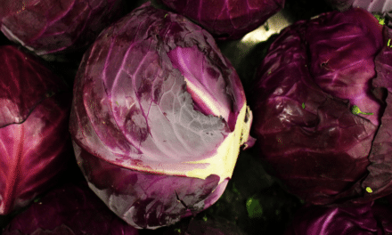 Purple/Red Cabbage