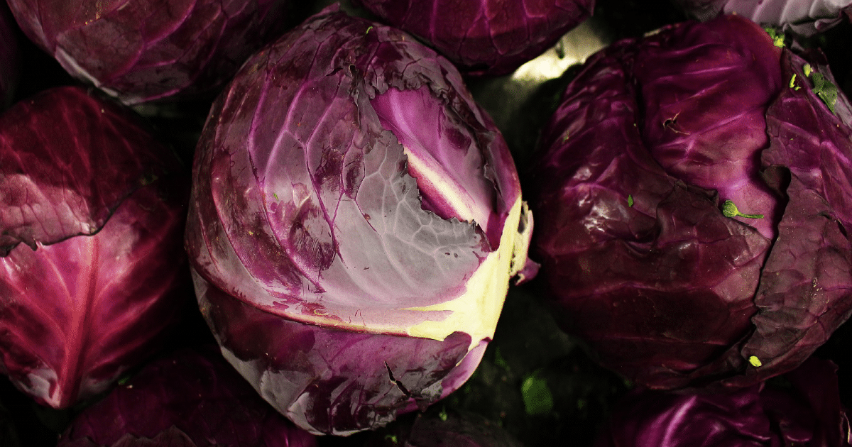 Purple/Red Cabbage